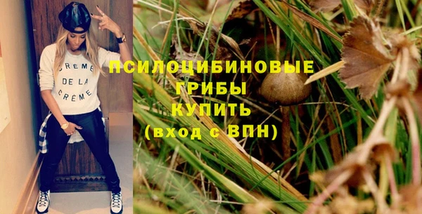 синтетический гашиш Медвежьегорск