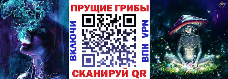 Галлюциногенные грибы Psilocybine cubensis  как найти наркотики  гидра зеркало  Фурманов 