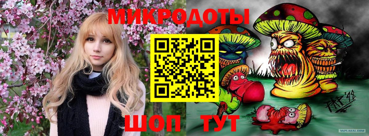 Галлюциногенные грибы мицелий Фурманов