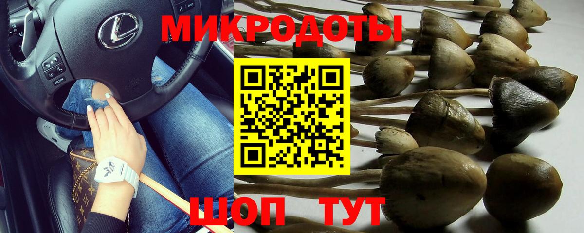 купить   Галлюциногенные грибы Cubensis  Вход с VPN  Фурманов 